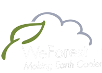 2015-Gezegenimizi seviyoruz! Brabantia, WeForest'in resmi ortağı oldu..png (15 KB)